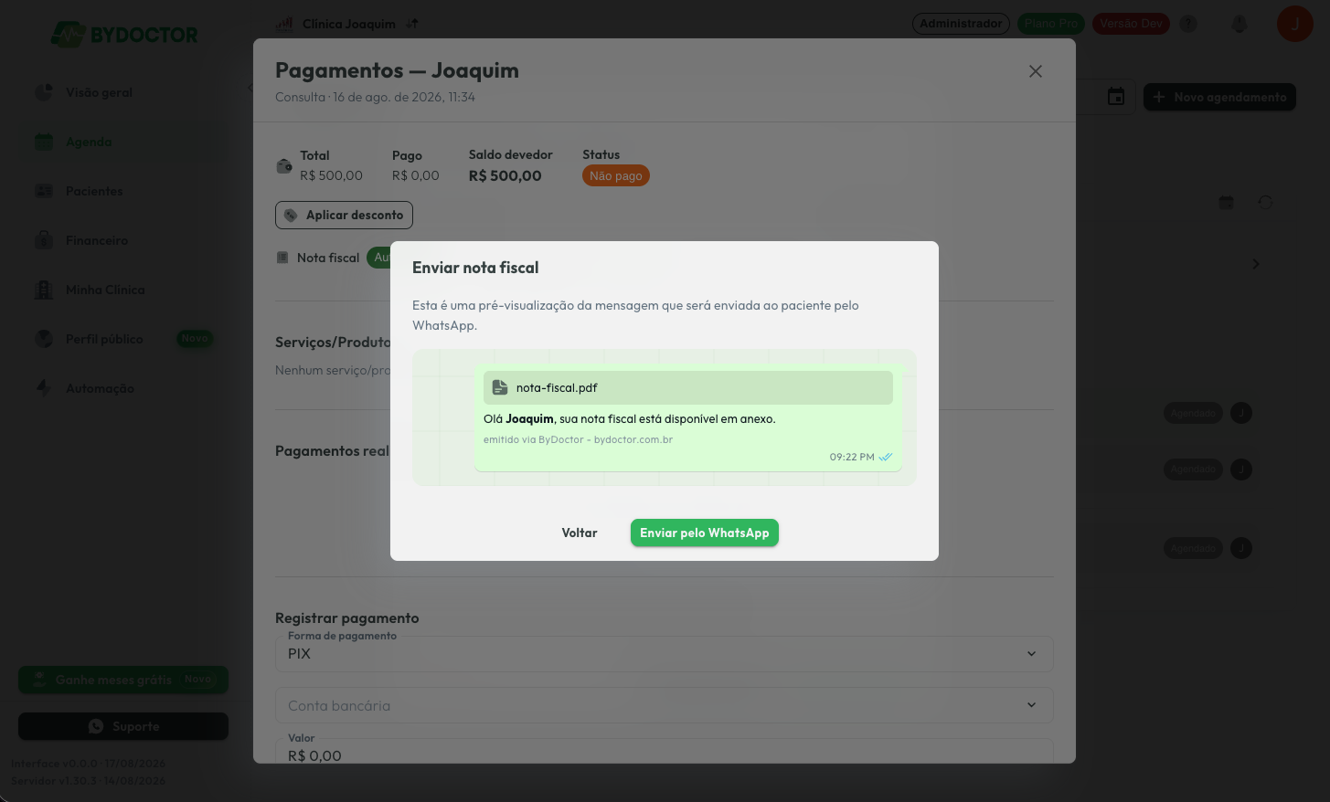 Prévia da mensagem de WhatsApp com o PDF da nota fiscal anexado